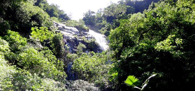 Cachoeira dos Macacos