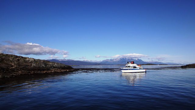 Turistas observando os lobos marinhos na Ilha Los Lobos, em Ushuaia