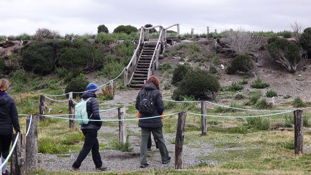 Fora da praia só podemos andar na área demarcada