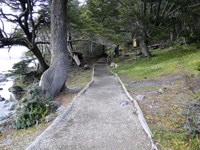 Senda Costanera - Parque Nacional Terra do Fogo