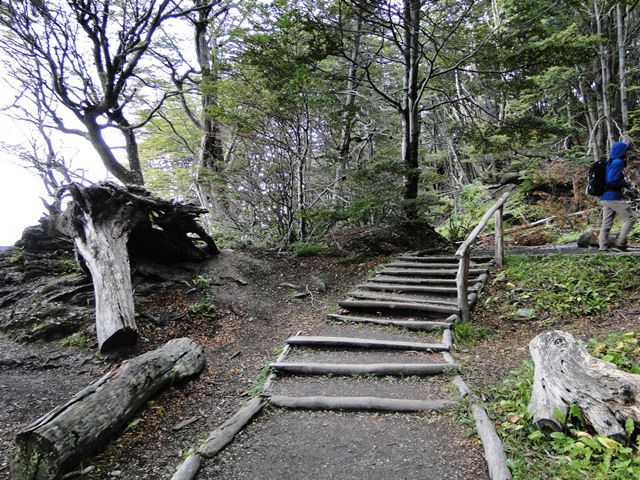 Senda Costanera - Parque Nacional Terra do Fogo