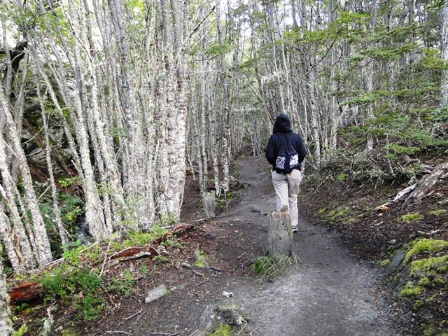 Senda Costanera - Parque Nacional Terra do Fogo