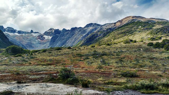 Ushuaia - trekking Laguna Esmeralda - trecho de turfas