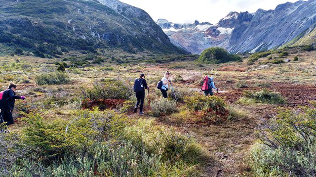 Ushuaia - trekking Laguna Esmeralda - trecho de turfas