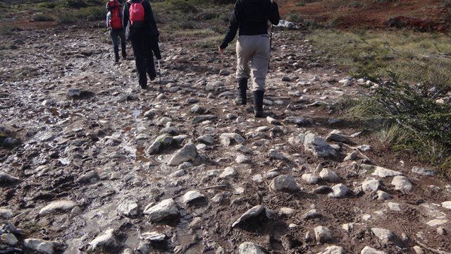 Ushuaia - trekking Laguna Esmeralda - trecho de turfas