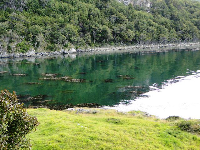 Senda Costanera - Parque Nacional Terra do Fogo