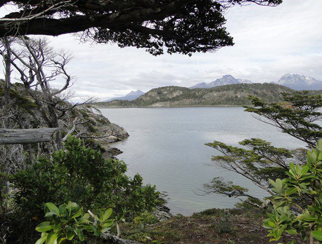 Senda Costanera - Parque Nacional Terra do Fogo