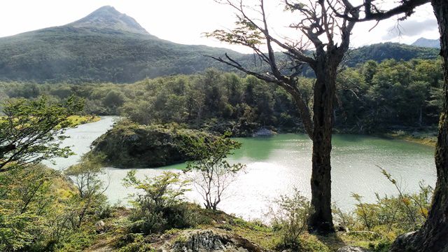 Aqui já estávamos no asfalto seguindo para a Baia Lapataia