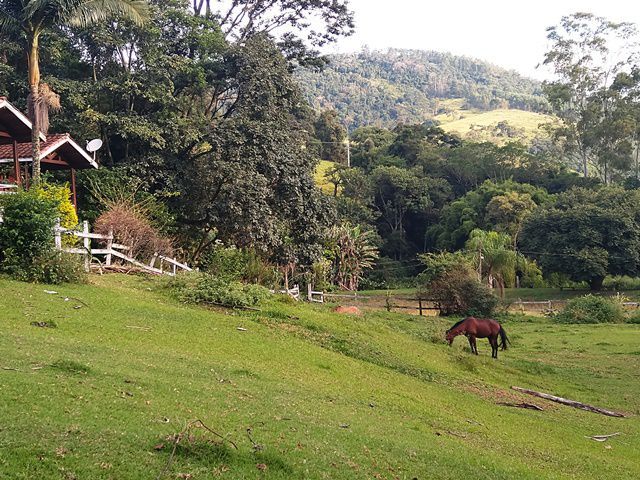 Cercado com cavalos, ao lado do parquinho