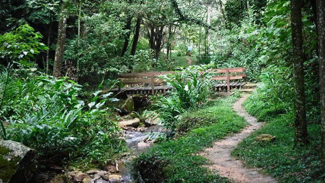 Trilha da Cachoeira