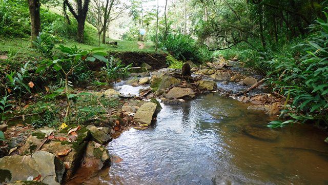 Trilha da Cachoeira