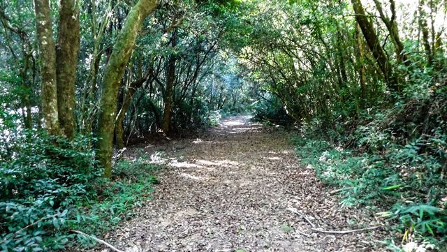 Trilha Caminho do Vuna, em Atibaia