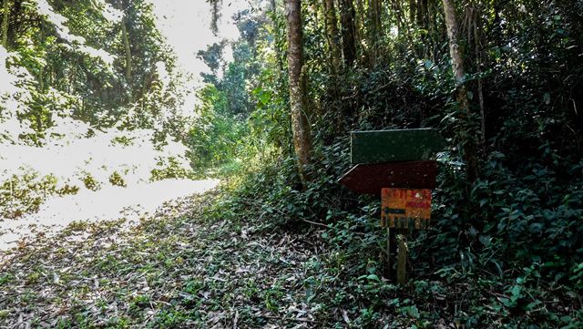 Trilha Caminho do Vuna, em Atibaia - nas bifucações, há sinalização das trilhas