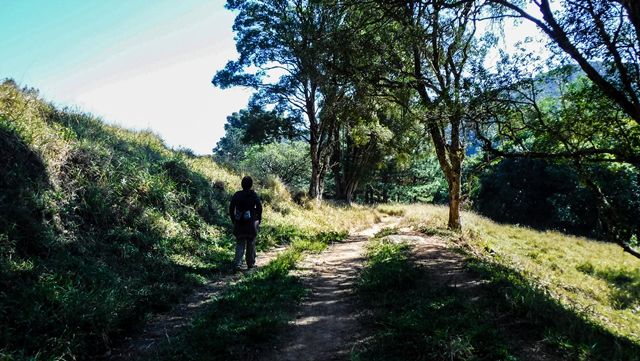 Eu já estava ficando para trás na caminhada