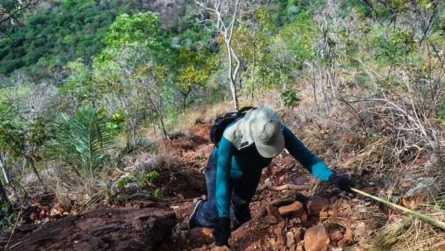 O solo de arenito possui muitas pedras soltas