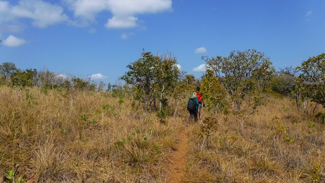 Trilha conectando os mirantes no cume do Morro do Chapéu