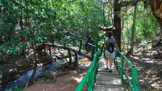 Trilha para a Cachoeira do Dodô - Chapada das Mesas