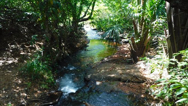 Trilha para a Cachoeira do Dodô - Chapada das Mesas