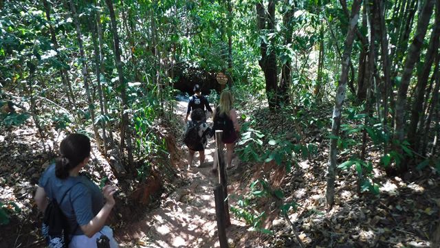 Trilha para a Cachoeira do Dodô - Chapada das Mesas