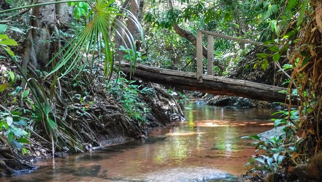 Cachoeira do Dodô - Chapada das Mesas