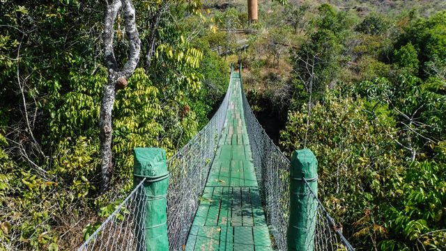 De cima da ponte é possível ver a trilha percorrida até a cachoeira