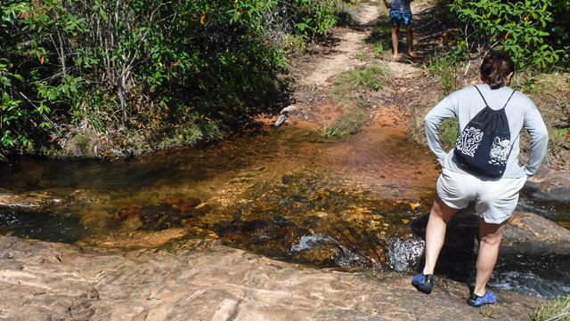 A trilha para a Cachoeira do Talho começa leve...