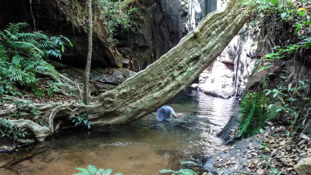 Caminhando pelo rio até a Cachoeira do Talho