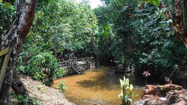 Cachoeira Aldeia do Leão