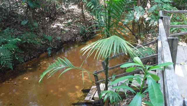 Escadas de acesso ao rio em locais mais íngremes