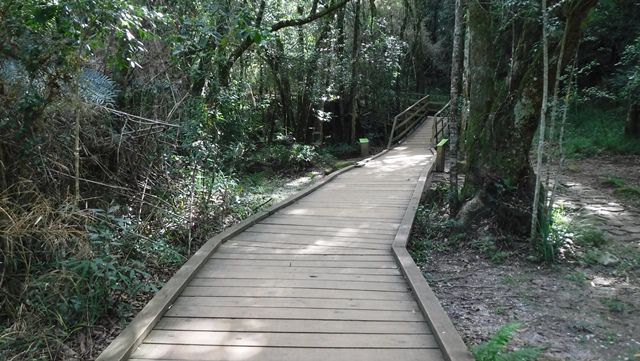 Passarela de madeira sobre trechos irregulares da trilha