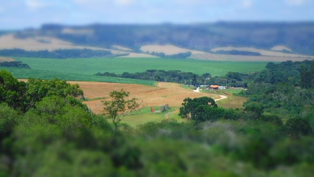 Campos de Ponta Grossa/PR