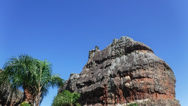 Anjo (sem zoom) - Parque Vila Velha