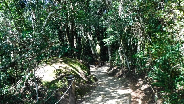 Trilha do Bosque - Parque Vila Velha
