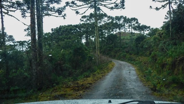 Caminho para a Cachoeira do Rio dos Bugres