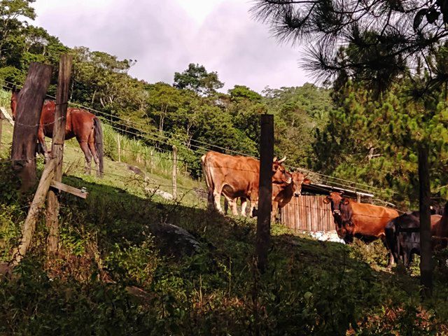 Pousada Recanto das Águas Vivas - passeio pela pousada