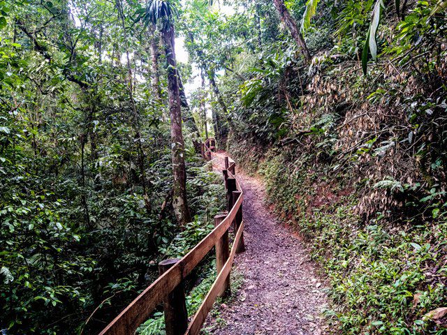 Cachoeira do Chá - Tapiraí/SP