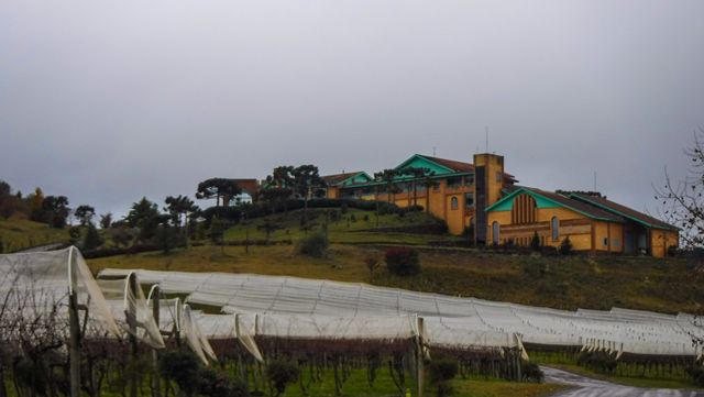 Vinícola Villa Francioni, em São Joaquim