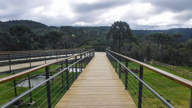 Plataforma suspensa que leva ao mirante