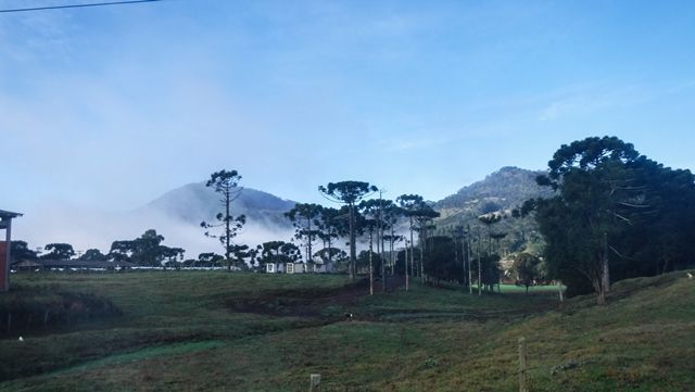 Neblina em Urubici/SC.