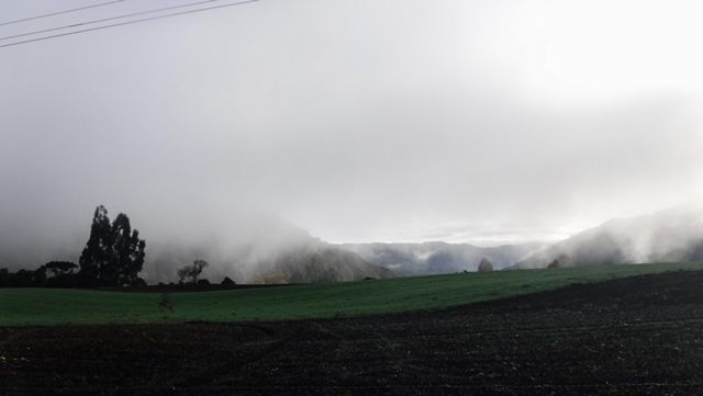 Neblina em Urubici/SC.