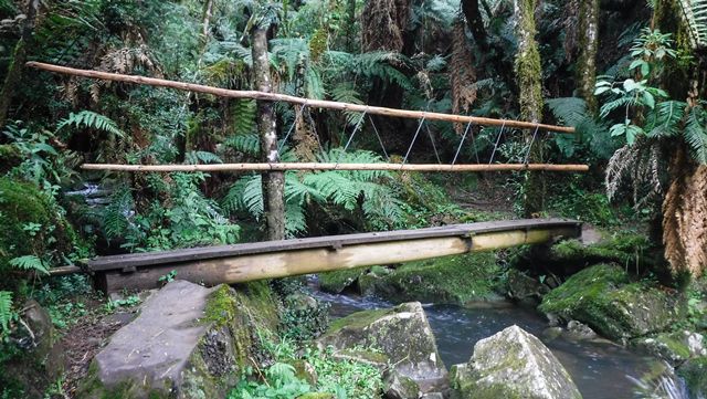 Trilha do Bugio até a Cachoeira da Neve