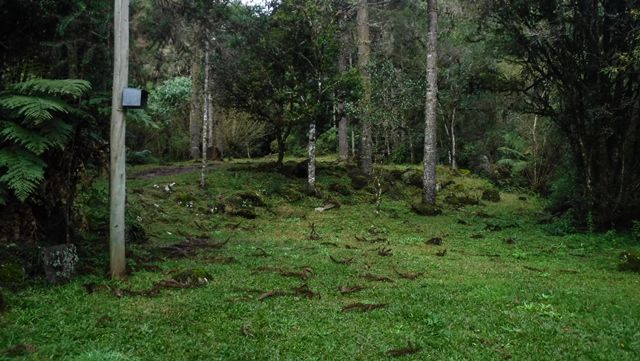 Área para camping no Sítio Arroio do Engenho