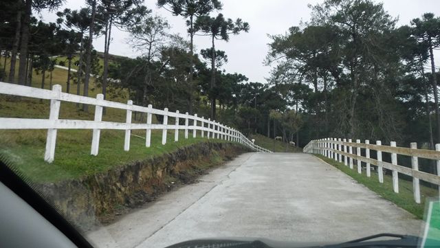 Caminho pavimentado até o topo do Morro do Campestre