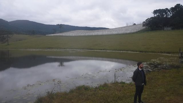 Vinícola Thera, em Urubici/SC