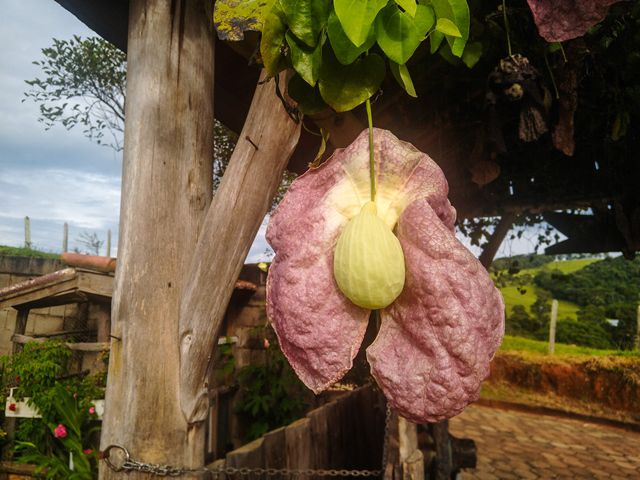 Pousada do Zezé - entrada coberta com Papo de Peru