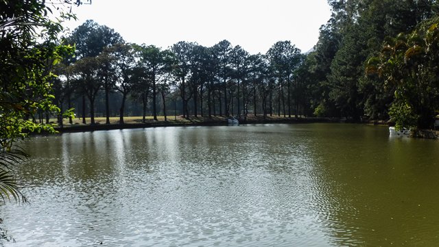 Lago com pedalinho