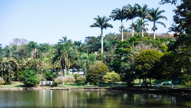 Lago com pedalinho