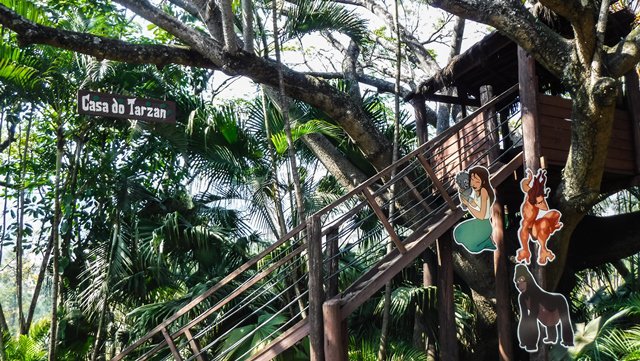 Casa do Tarzan - Hotel Amoreiras