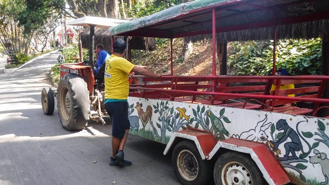 Passeio de trenzinho pela propriedade