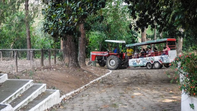 Passeio de trenzinho pela propriedade